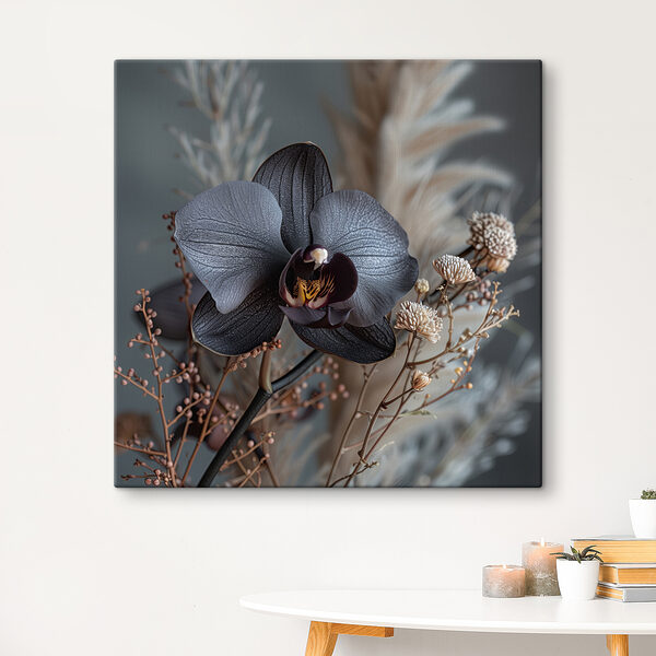 Schwarze Blume mit weißen Blüten Schwarze Blume mit weißen Blüten