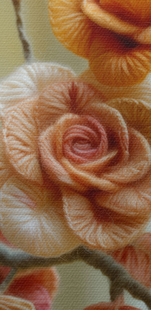 Colorful yarn flowers in bloom Colorful yarn flowers in bloom