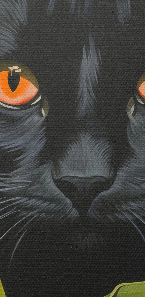 Schwarze Katze mit orangefarbenen Augen, die durch hohe grüne Pflanzen schauen Schwarze Katze mit orangefarbenen Augen, die durch hohe grüne Pflanzen schauen
