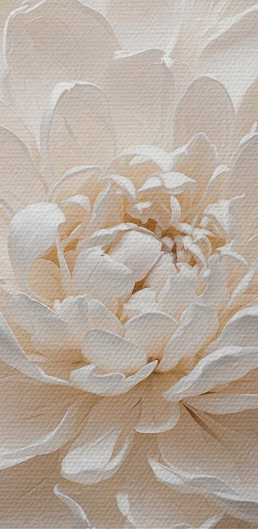 Nahaufnahme einer Blume
