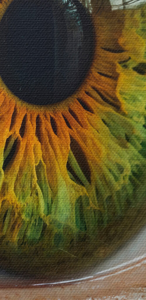 Vibrant eye showcasing unique colors