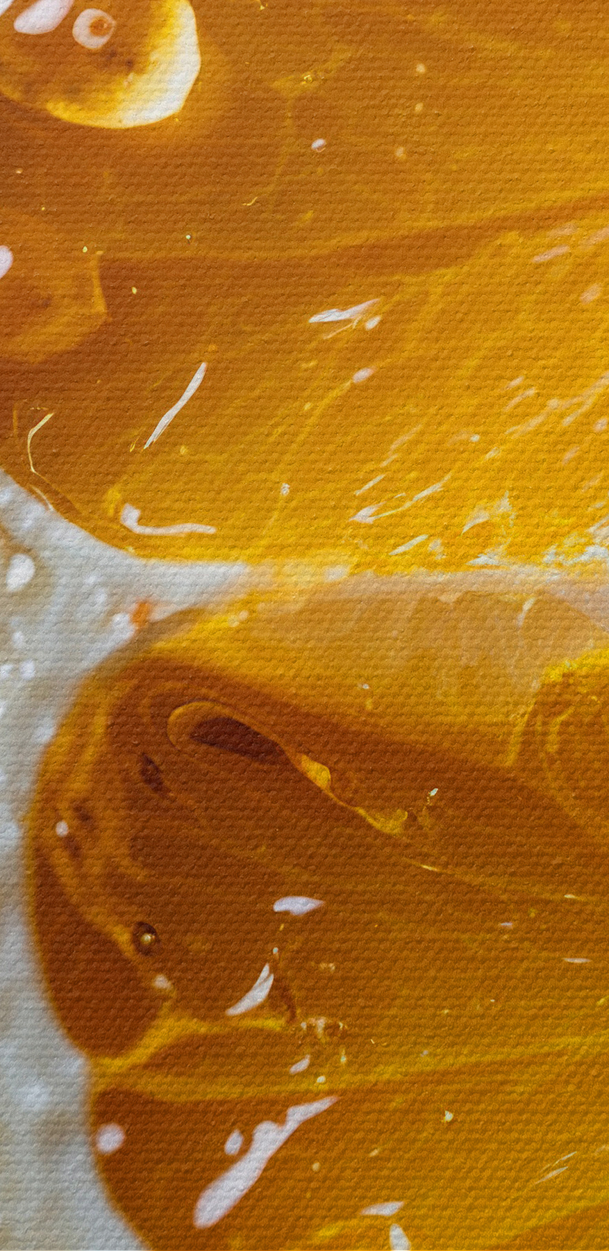 Nahaufnahme einer Orangenscheibe