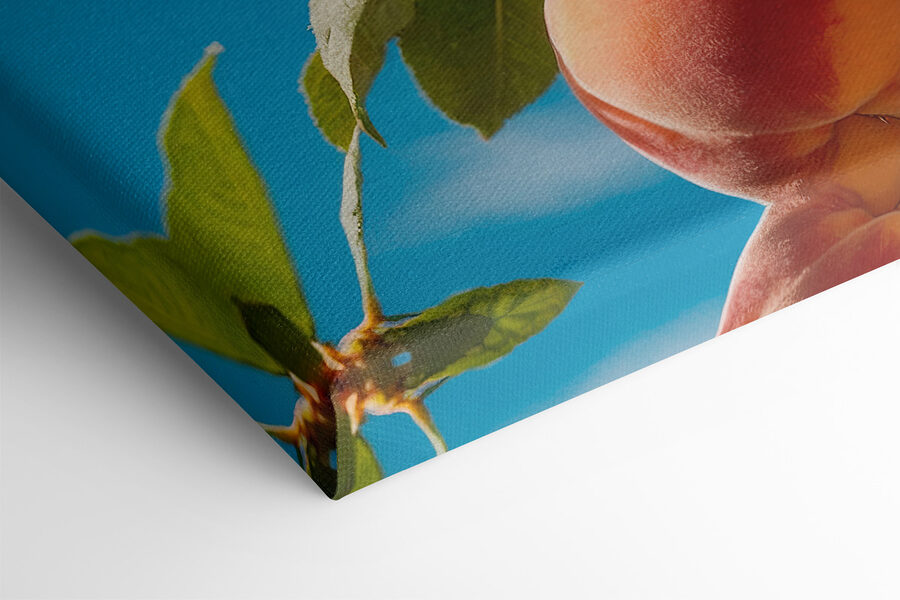 Gruppe von Pfirsichen auf einem Baum