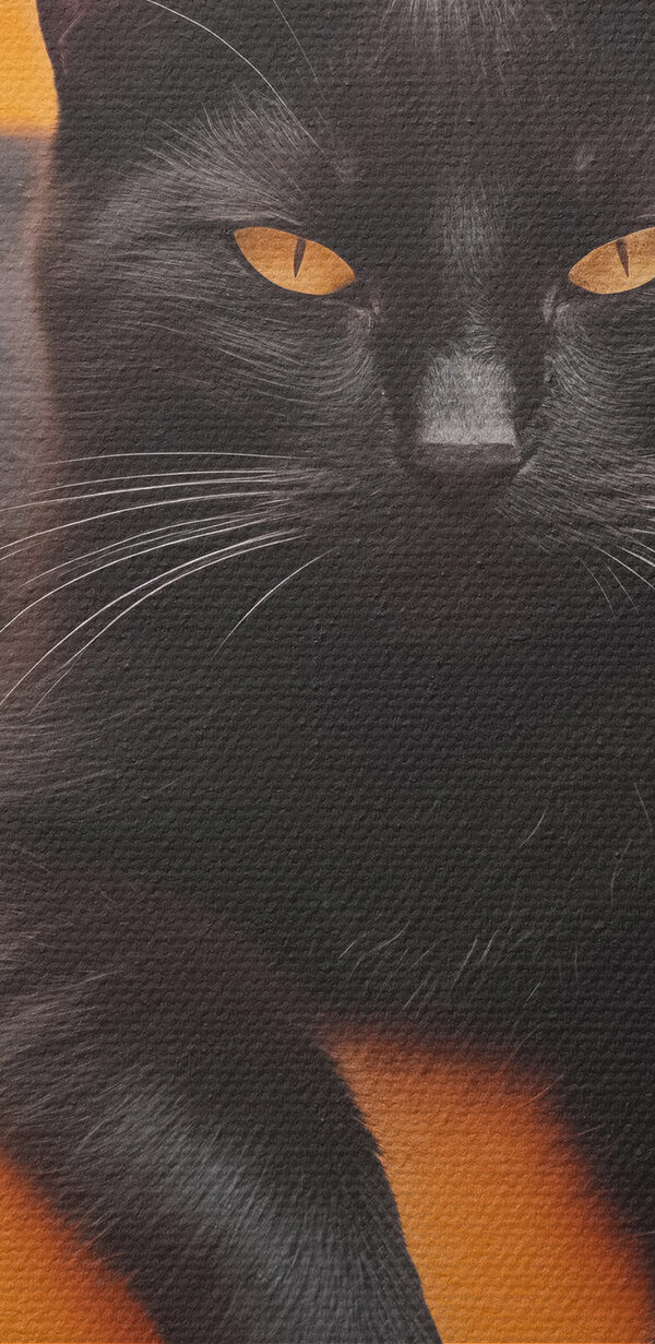 Schwarze Katze auf einer Treppe liegend Schwarze Katze auf einer Treppe liegend