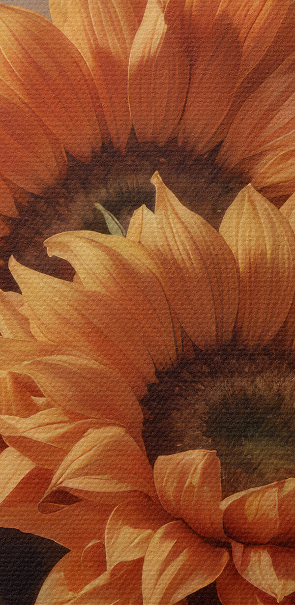 Frau hält Sonnenblumen Frau hält Sonnenblumen