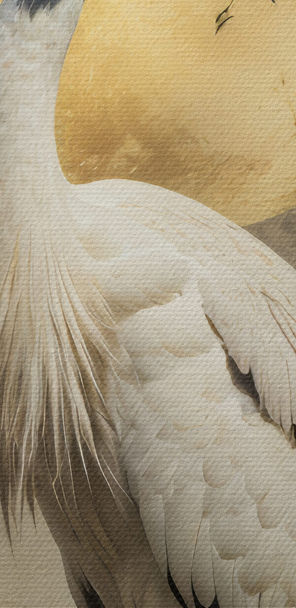 Vogel vor einem Vollmond stehend Vogel vor einem Vollmond stehend