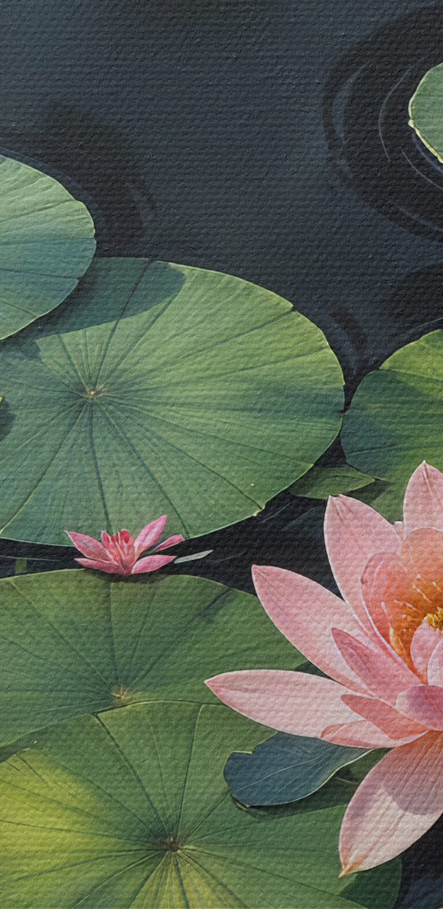 Gruppe von rosa Blumen und grünen Blättern in einem Teich