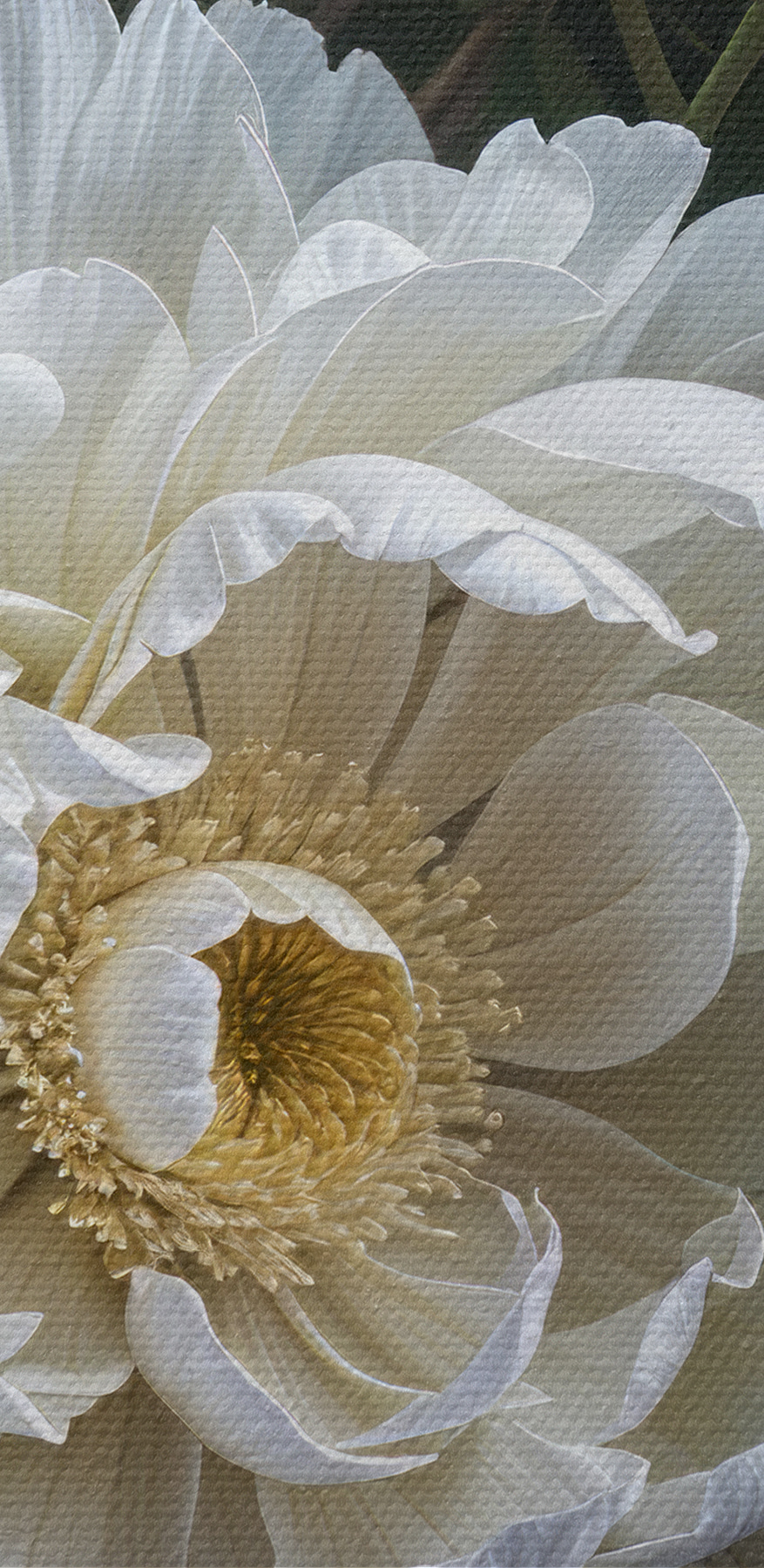 Gruppe von weißen Blumen