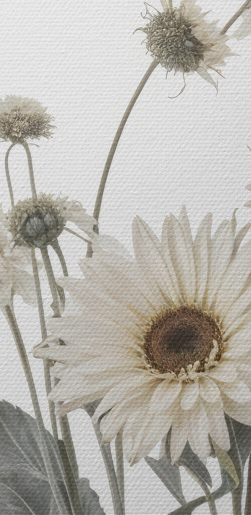 Group of white flowers