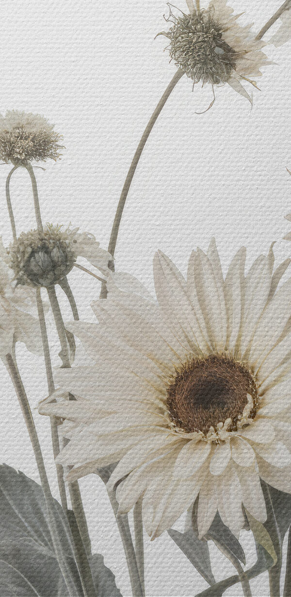 Group of white flowers Group of white flowers