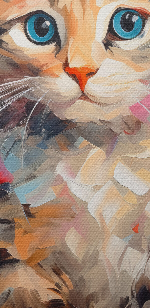 Katze mit blauen Augen Katze mit blauen Augen