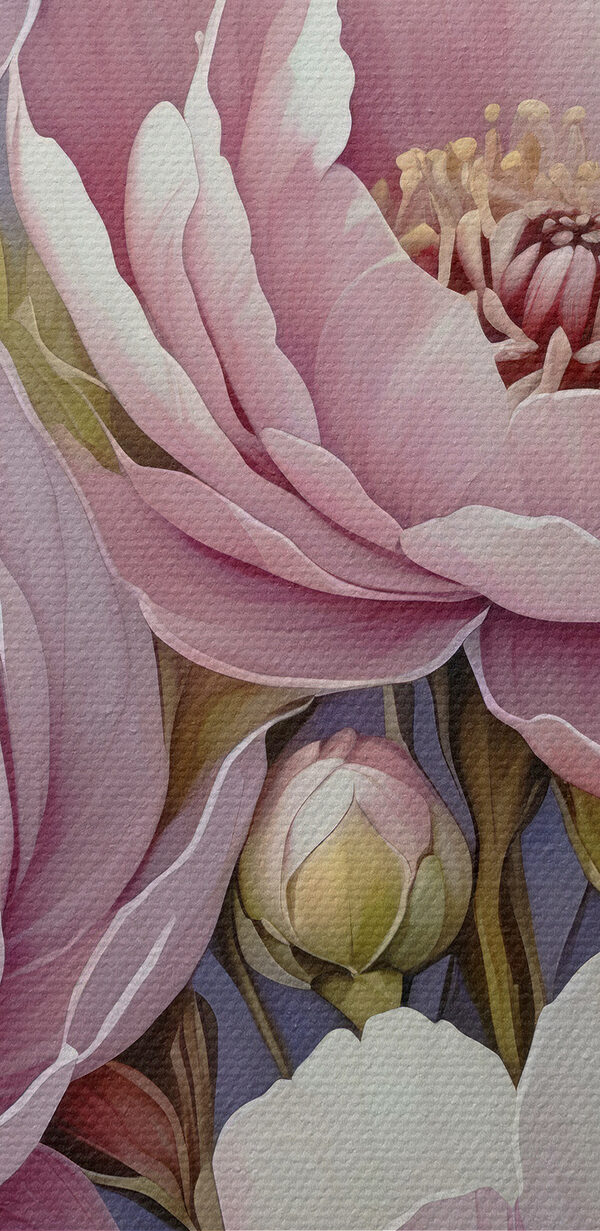 Soft petals in gentle bloom Soft petals in gentle bloom