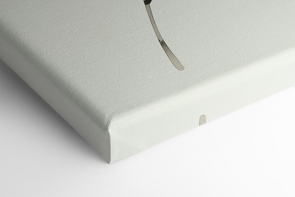 Green leafy plant with a white background