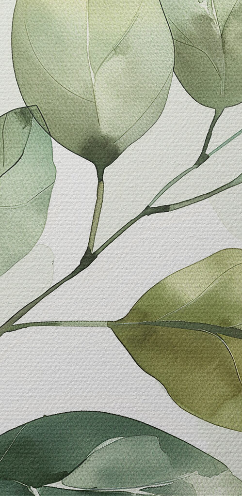 Green leafy plant with a white background