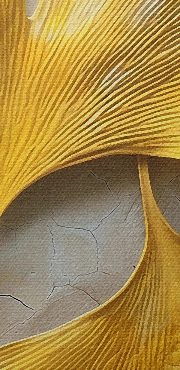 Gelbe Blätter auf einer weißen Fläche Gelbe Blätter auf einer weißen Fläche