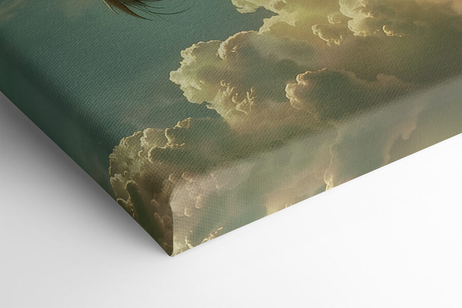 Drache in den Wolken