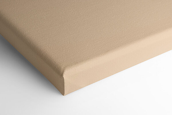 Sunflower with a brown center Sunflower with a brown center