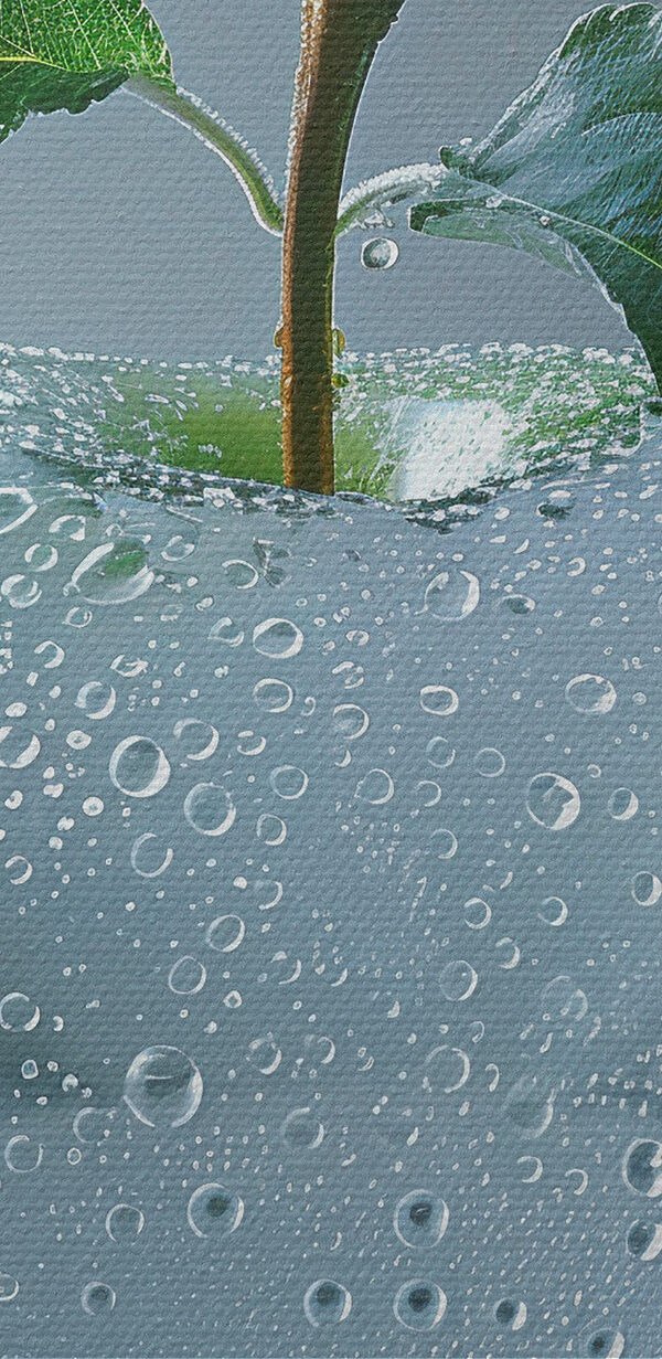 Klarer Apfel mit Wassertropfen darauf Klarer Apfel mit Wassertropfen darauf