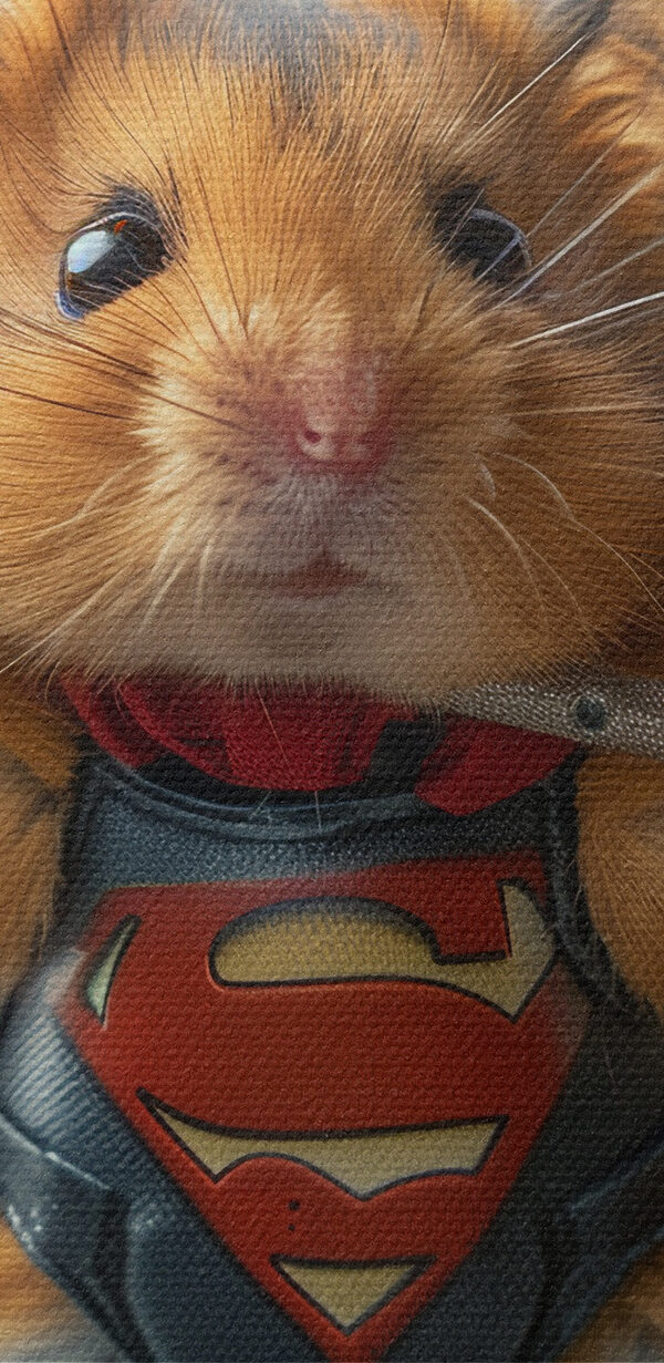 Hamster im Superhelden-Kostüm mit Hantelstange Hamster im Superhelden-Kostüm mit Hantelstange