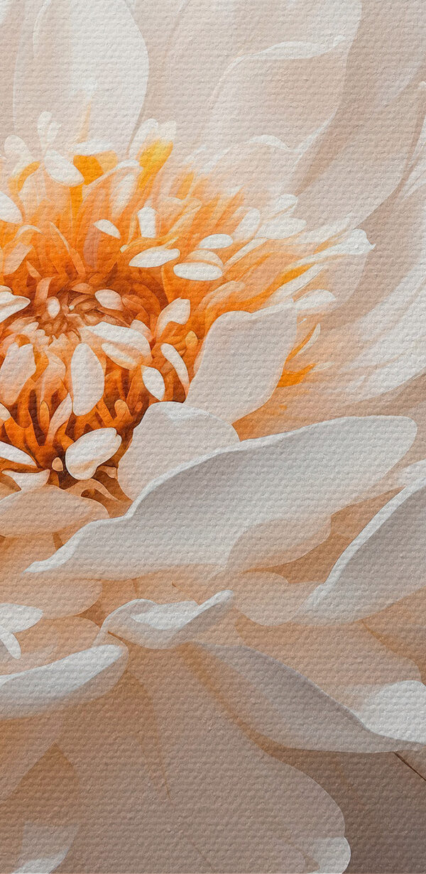 Nahaufnahme einer weißen Blume Nahaufnahme einer weißen Blume