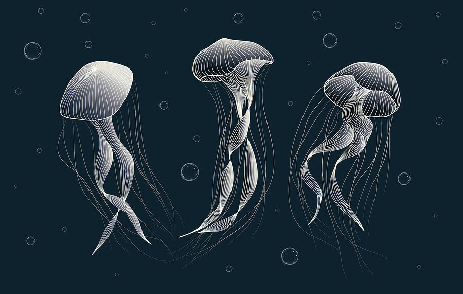 Gruppe von Quallen im Wasser