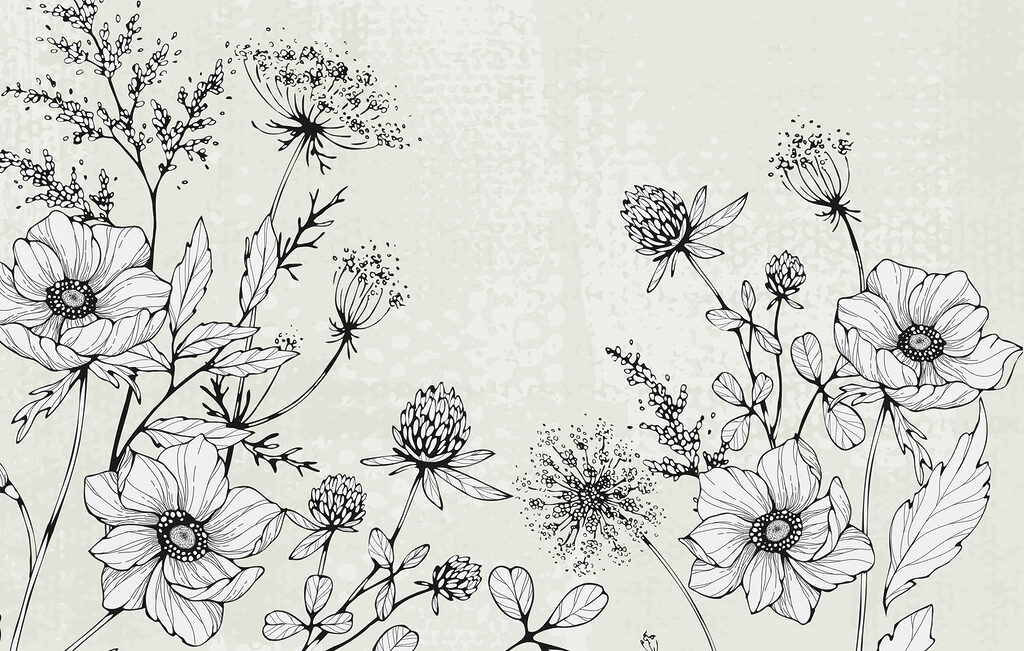 Zeichnung von Blumen und Blättern Zeichnung von Blumen und Blättern
