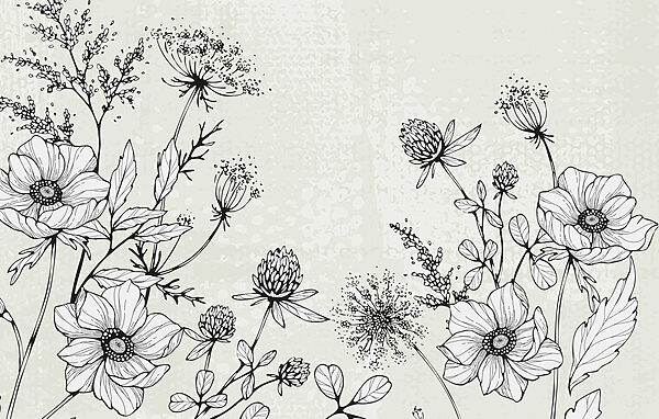 Zeichnung von Blumen und Blättern Zeichnung von Blumen und Blättern
