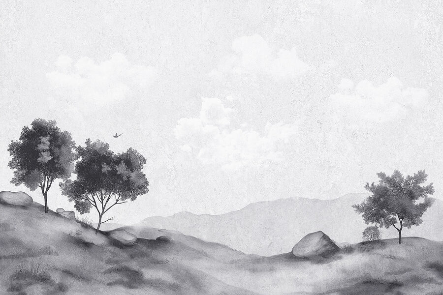 Landschaft mit Bäumen und Felsen