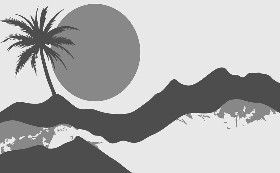 Palme und Sonne