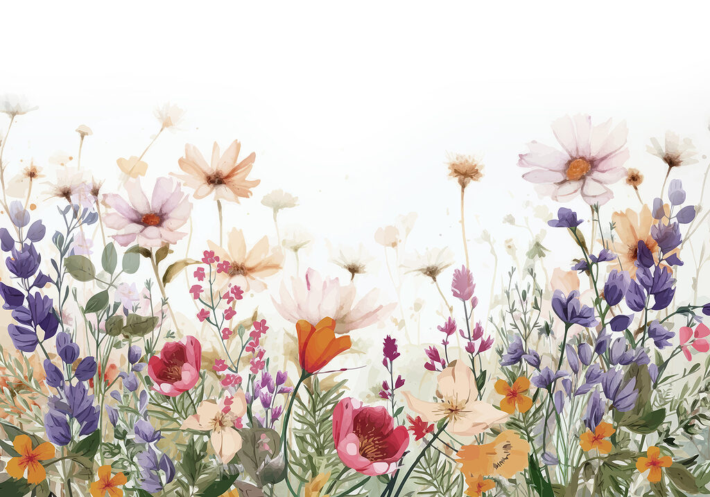 Gruppe von Blumen auf einem weißen Hintergrund Gruppe von Blumen auf einem weißen Hintergrund