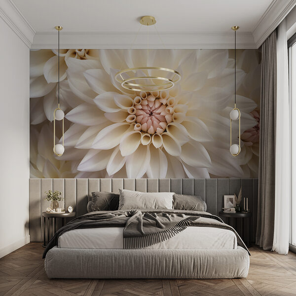 Nahaufnahme einer weißen Blume Nahaufnahme einer weißen Blume