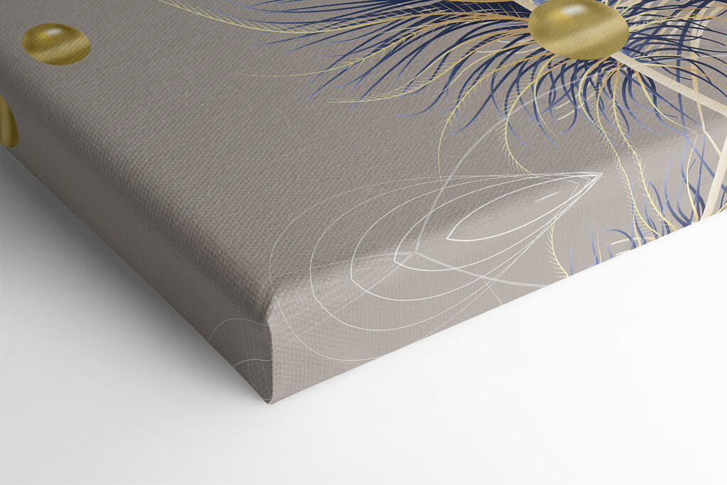 Close up of feathers