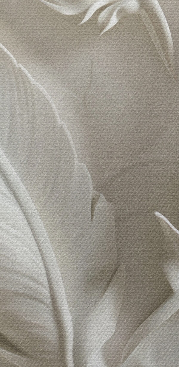 Weiße Federschnitzerei an einer Wand Weiße Federschnitzerei an einer Wand