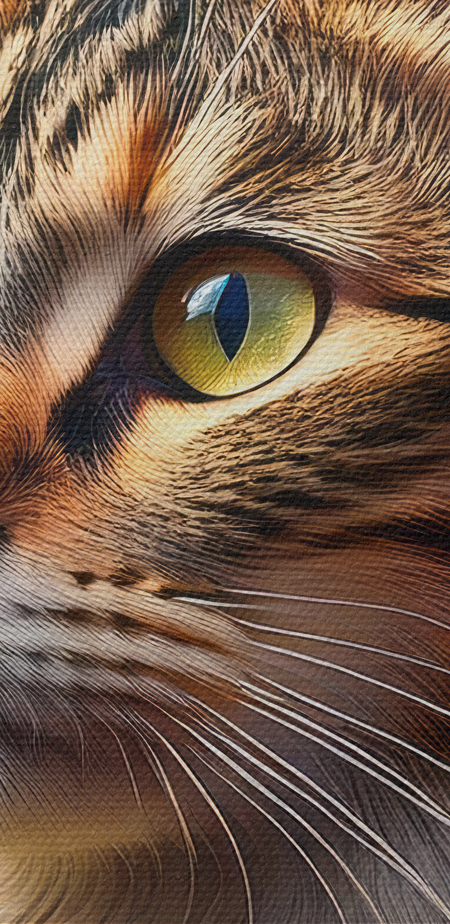 Katze in einem Garten voller Blumen