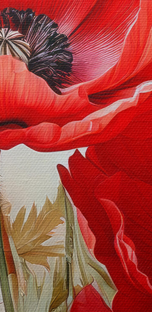 Group of red flowers