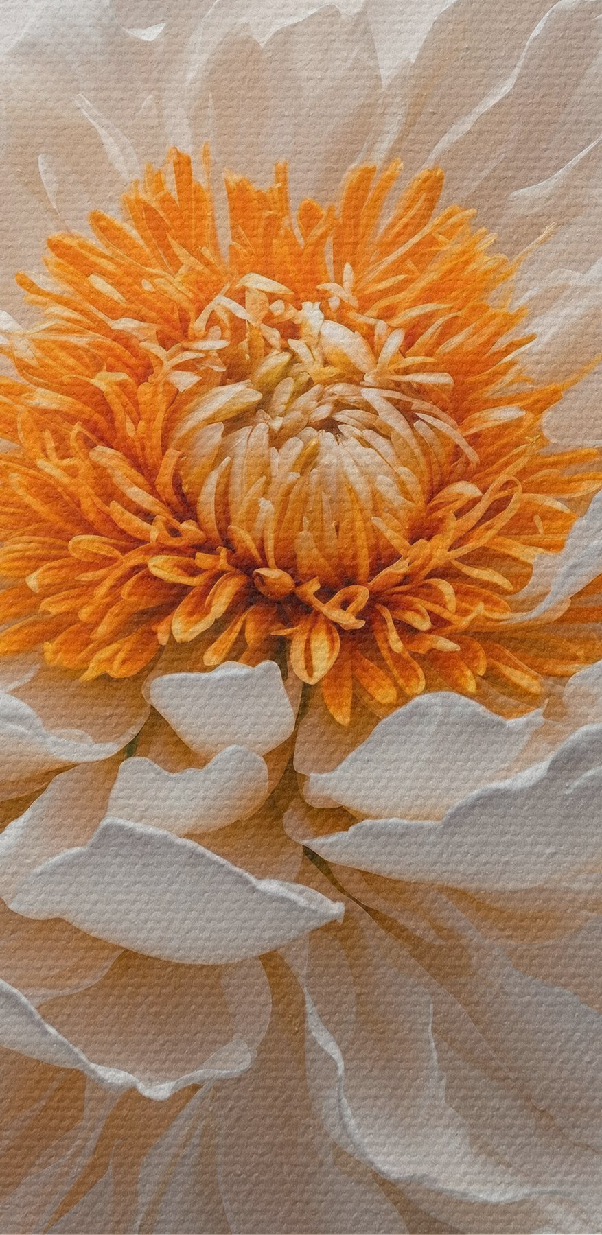 Weiße Blüte mit orangefarbener Mitte Weiße Blüte mit orangefarbener Mitte