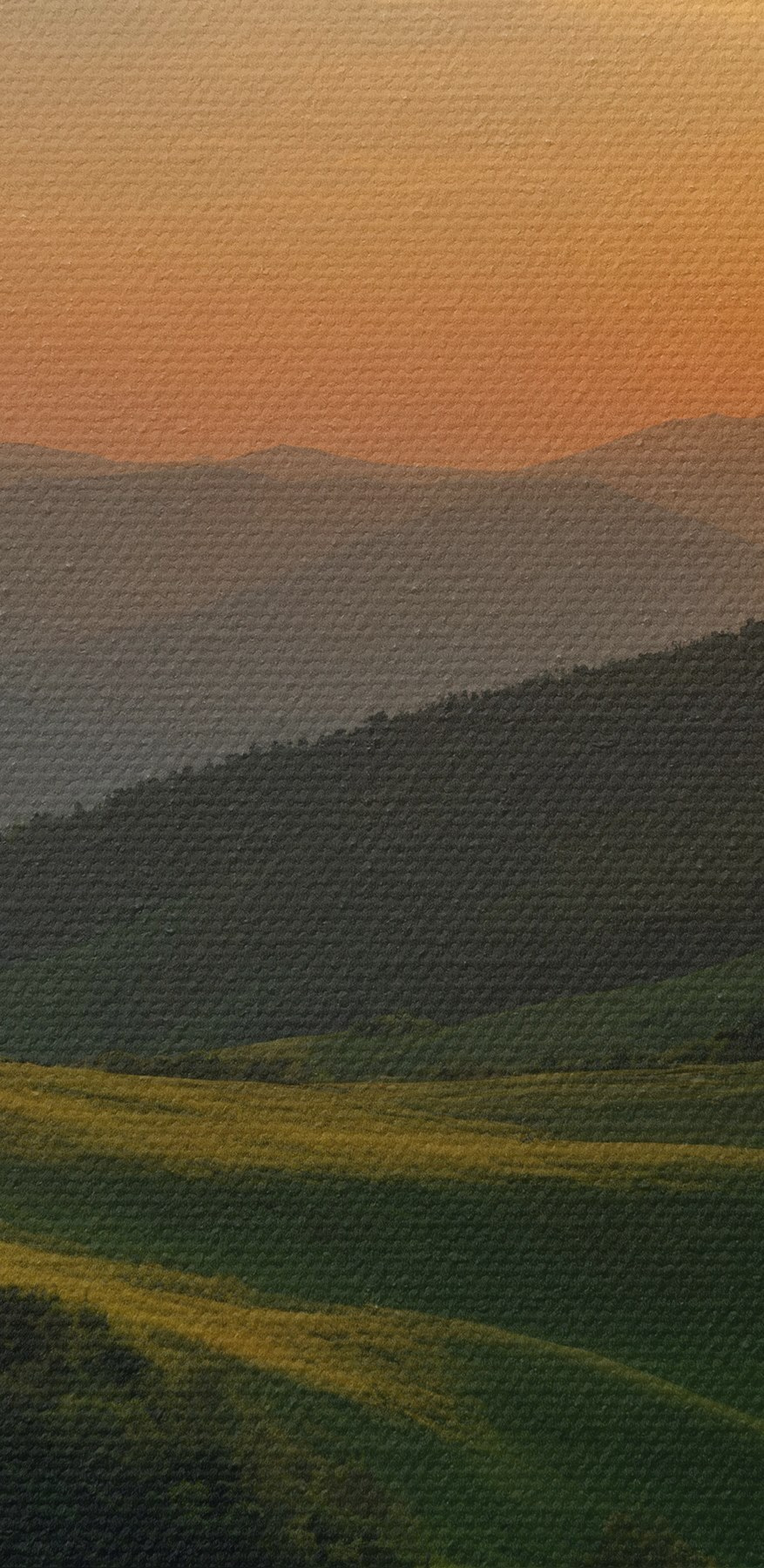 Sonnenuntergang über einem grünen Hügel Sonnenuntergang über einem grünen Hügel