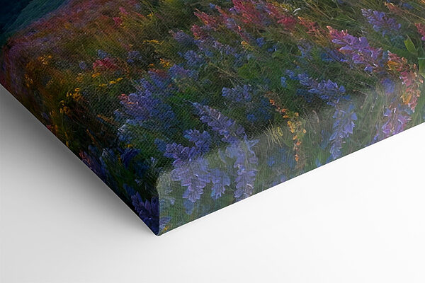 Blumenfeld auf einem Berg Blumenfeld auf einem Berg