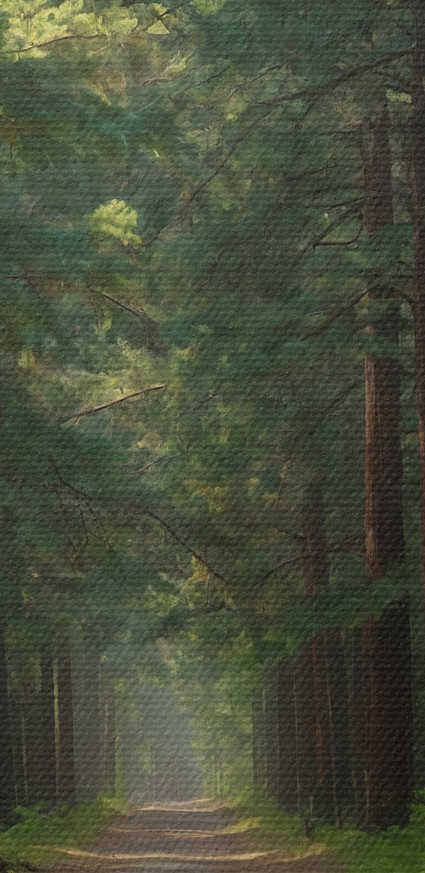 Schotterstraße durch einen Wald
