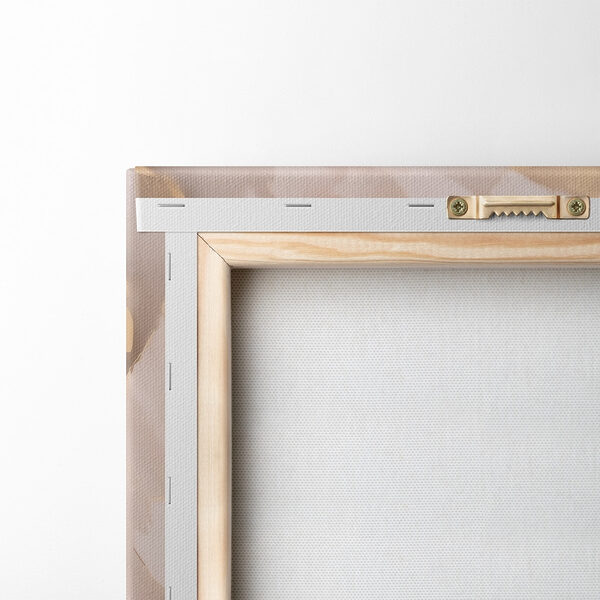 Close up of a flower Close up of a flower