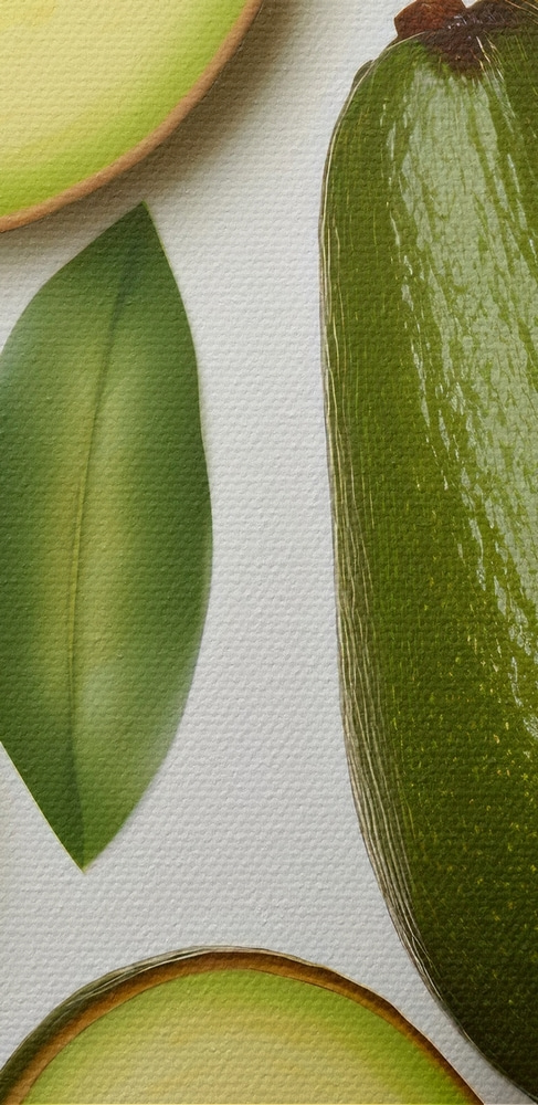 Avocados und Avocados mit Blättern und Wassertropfen