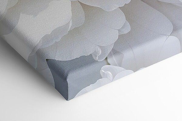 Close up of white flowers