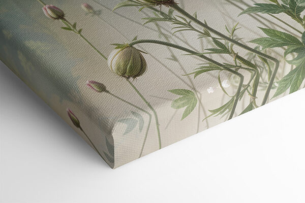 Group of white flowers