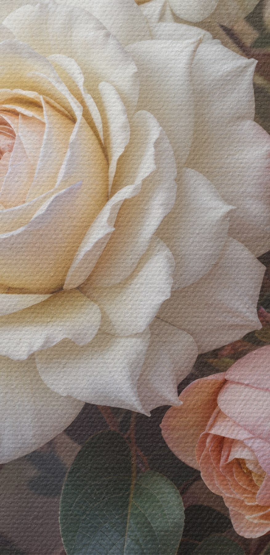 Gruppe von weißen und rosa Rosen