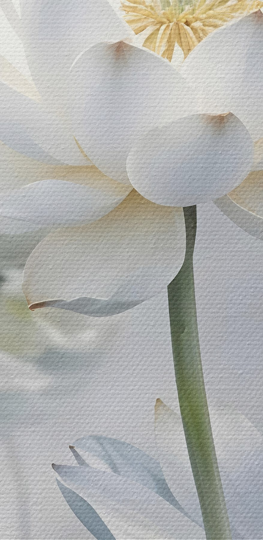 Gruppe von weißen Blumen