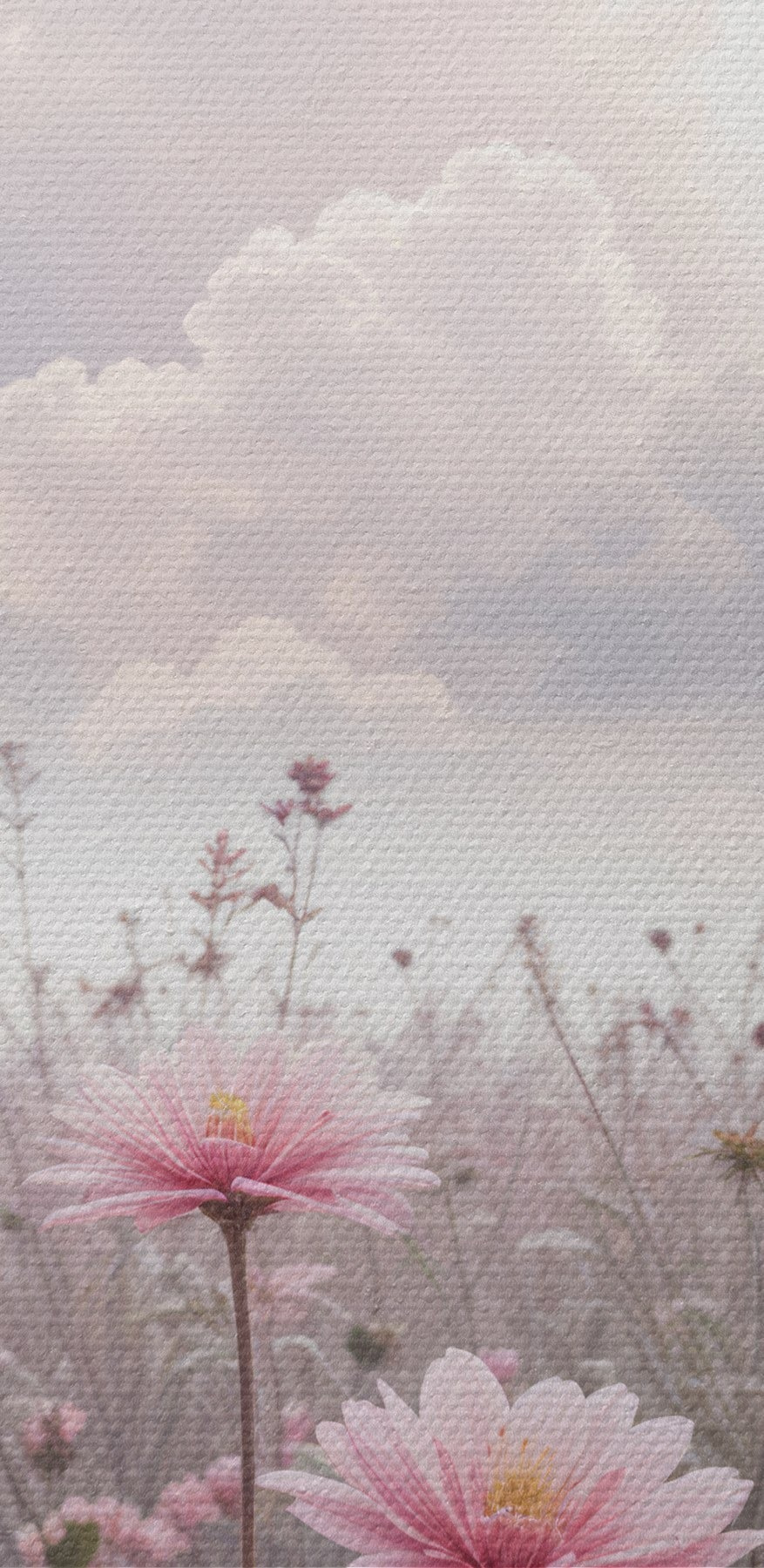 Feld mit rosa Blumen Feld mit rosa Blumen
