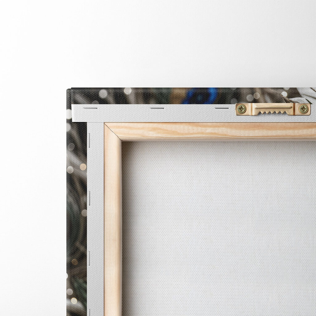 Close up of a peacock feather