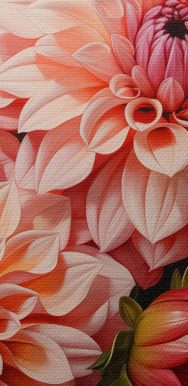 Gruppe von rosa und weißen Blumen Gruppe von rosa und weißen Blumen