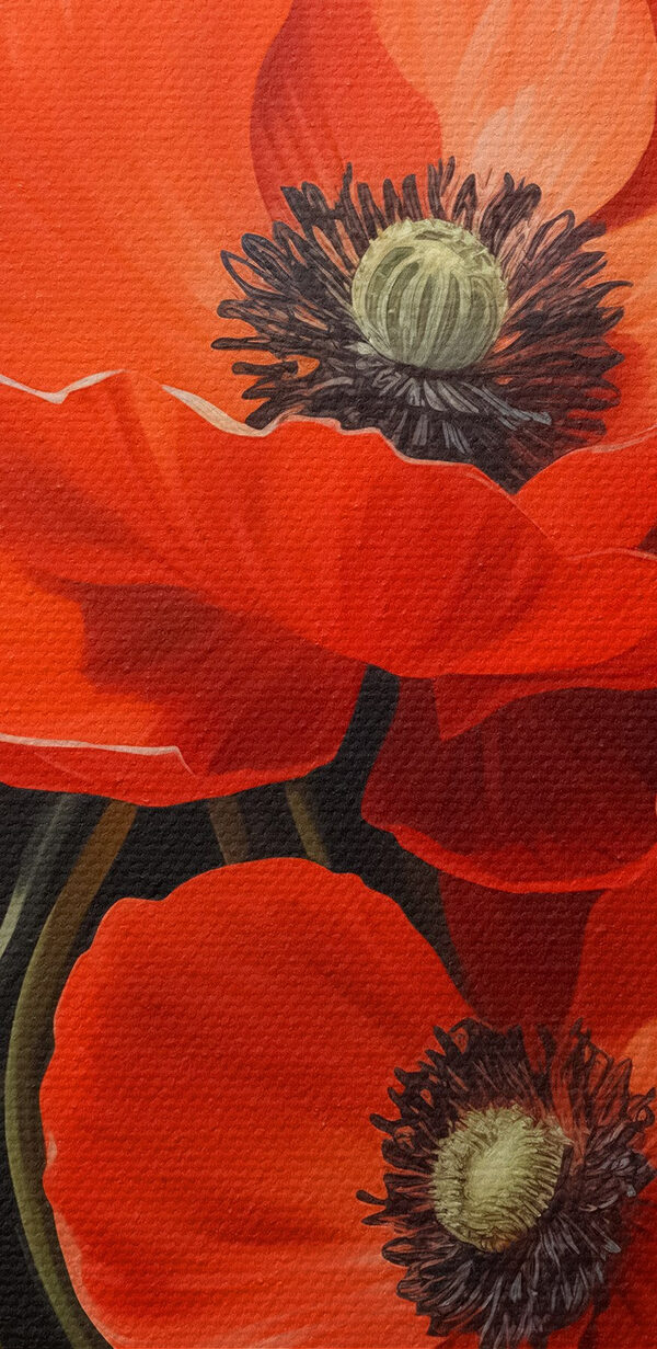 Nahaufnahme von Blumen Nahaufnahme von Blumen
