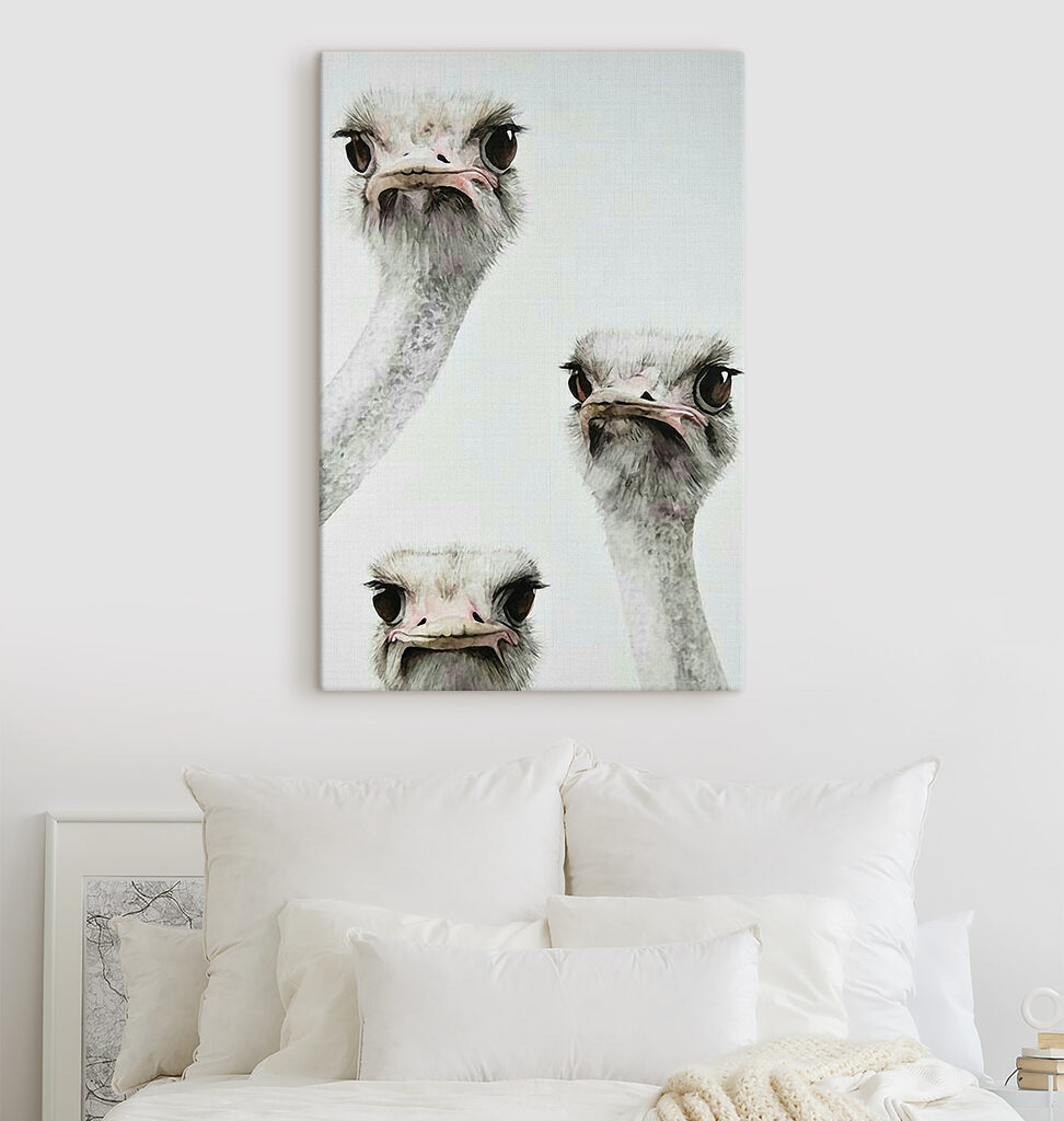 Group of ostriches with their heads up Group of ostriches with their heads up